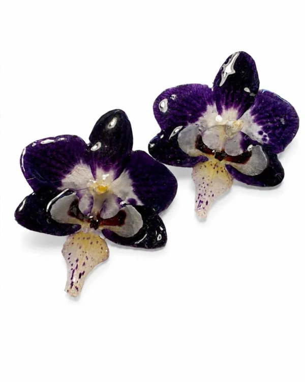 Pendientes Orquídea — pendientes artesanales con flor natural encapsulada Eleven