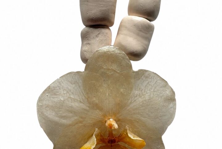 collar orquidea blanco ice bloom eleven